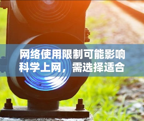 网络使用限制可能影响科学上网，需选择适合的用户。此外，韩国互联网普及程度较高，但科学上网服务的普及度因地区和研究需求而异