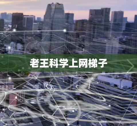 老王科学上网梯子 老王科学上网梯子