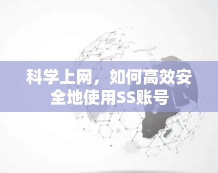 科学上网，如何高效安全地使用SS账号