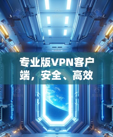专业版VPN客户端，安全、高效、舒适的网络连接
