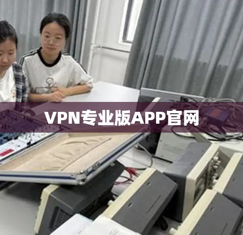 VPN专业版APP官网