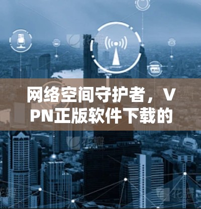 网络空间守护者，VPN正版软件下载的真相