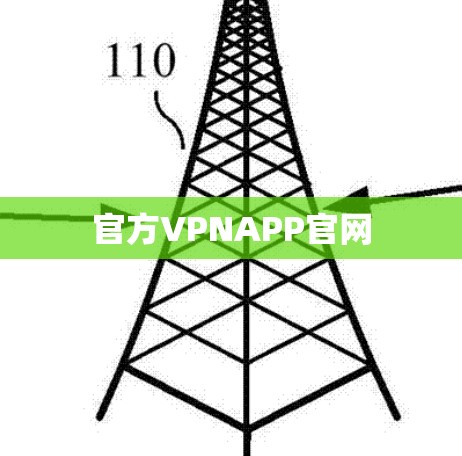 官方VPNAPP官网