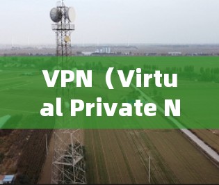 VPN（Virtual Private Network，VPN）是一种技术手段，用于保护用户的数据安全，防止被非法访问。以下是关于VPN隐私加密工具的详细信息
