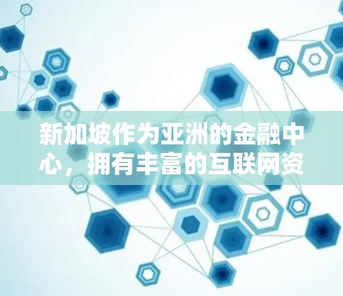 新加坡作为亚洲的金融中心，拥有丰富的互联网资源，因此吸引了大量用户使用VPN服务进行网络加速。以下是对新加坡VPN市场的分析