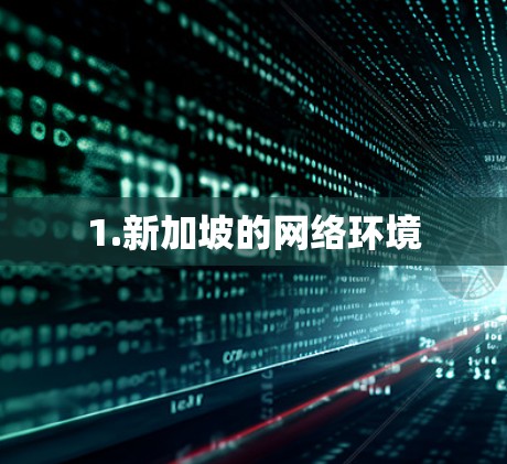 1.新加坡的网络环境