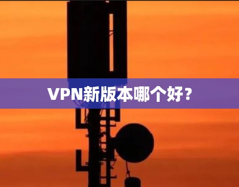 VPN新版本哪个好？