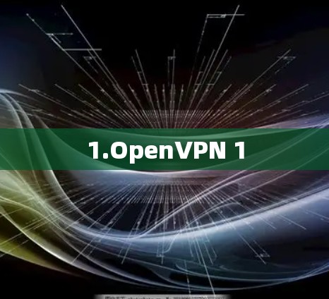 1.OpenVPN 1