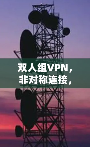 双人组VPN，非对称连接，安全无痕的隐私
