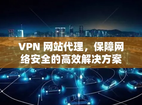 VPN 网站代理，保障网络安全的高效解决方案