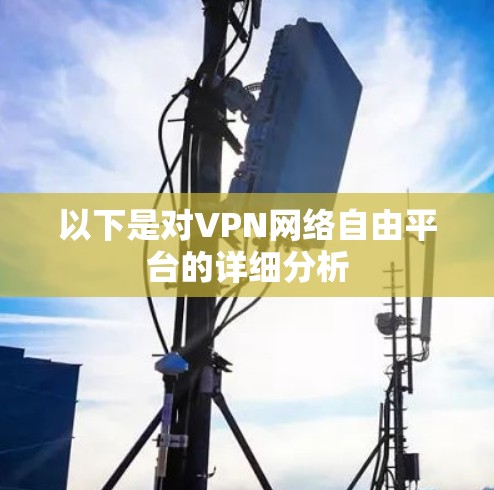以下是对VPN网络自由平台的详细分析