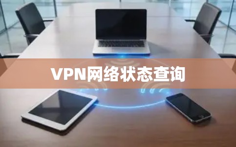 VPN网络状态查询