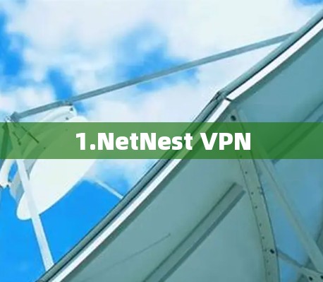 1.NetNest VPN